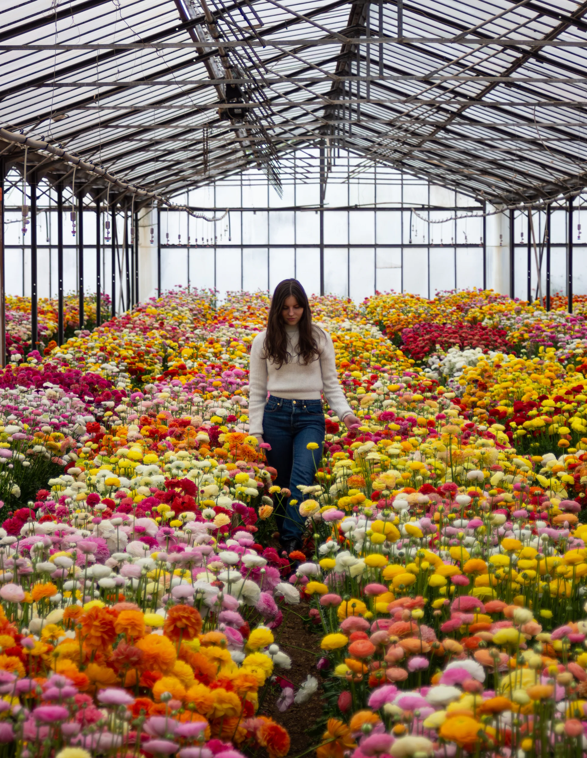 Cultivate the Extraordinary Today